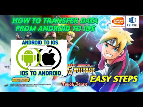 Fake Nxb Transfer Id